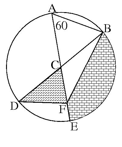 a circle divided by diameters