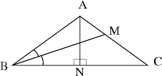 triangle with bisectors
