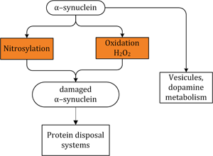 Toxins Diagram